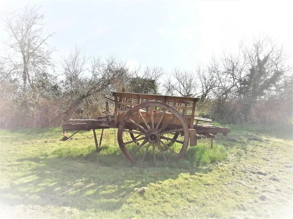 Domaine De Gaia, Piscine, Petanque, Ping Pong, Proche Saint-Emilion Bed & Breakfast Guillac  Guillac (Gironde)